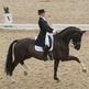 World Dressage Masters Palm Beach Announces Change to Line-Up World Dressage Masters Palm Beach Announces Change to Line-Up