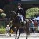 Lauren Sammis and Sagacious HF Prepare For The New Year and A New Show Season