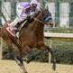 Horse racing's Jockey Club ponies up with rebranded website
