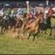 Horse racing industry backs New Mexico reforms Horse racing industry backs New Mexico reforms