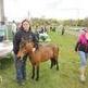 Miniature horse show in Bethlehem helps raise money for New Milford equine rescue and others