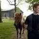 Oldham trainer works with Icelandic horses in Apassionata