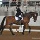 Dressage competitor nears Paralympics goal Dressage competitor nears Paralympics goal