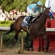 5 horses to watch with a chance to beat Derby winner I’ll Have Another in Preakness 5 horses to watch with a chance to beat Derby winner I’ll Have Another in Preakness