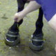 Video shows 'cruel and inhumane practice' used to train horses