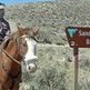 Wild horse club planning Sand Wash Basin volunteer clean-up event Wild horse club planning Sand Wash Basin volunteer clean-up event