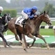 New York Seizes Control of Horse-Racing Board