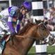 Belmont Stakes Horses Face Stringent Rules to Prevent Tampering Belmont Stakes Horses Face Stringent Rules to Prevent Tampering