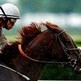 Racing needs another Funny Cide Racing needs another Funny Cide