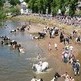 Horse welfare specialists will be at Appleby Horse Fair, which starts today. Horse welfare specialists will be at Appleby Horse Fair, which starts today.