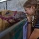 Western States Horse Expo sees brighter outlook for auction Western States Horse Expo sees brighter outlook for auction