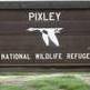 Horses, mules die at refuge in Central Valley Horses, mules die at refuge in Central Valley