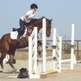 Middle school girl rehabilitates horse to full recovery Middle school girl rehabilitates horse to full recovery