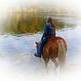 Ten Minute Trick- Making your horse enjoy leaving home