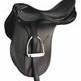 Liquidating my Passier Saddles and Bobby's bridle Liquidating my Passier Saddles and Bobby's bridle