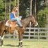 Wrangler