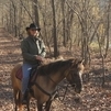 Savannah-Chocolate Buckskin