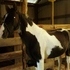 MJ