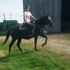 remington