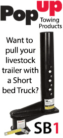 Pop Up Hitch