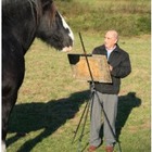 Get A Portrait Of Your Horse
