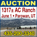 AUCTION 1317 Acre Superior Working Ranch