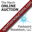 Online Auction for Sport Horses!