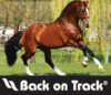 Help Your Horse Feel Ah-mazing!