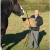 Get A Portrait Of Your Horse