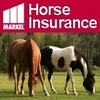 Insuring Horses and Businesses for over 40 Years