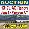 AUCTION 1317 Acre Superior Working Ranch