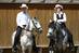 Paso Fino