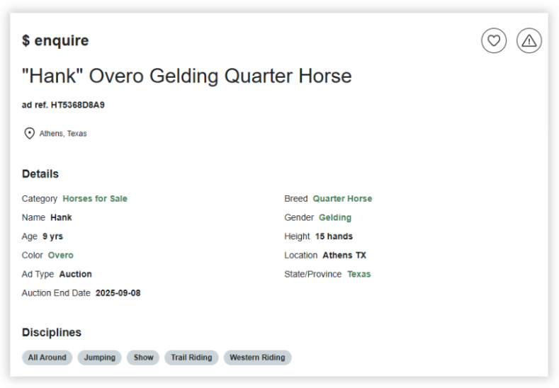 HorseClicks ad example