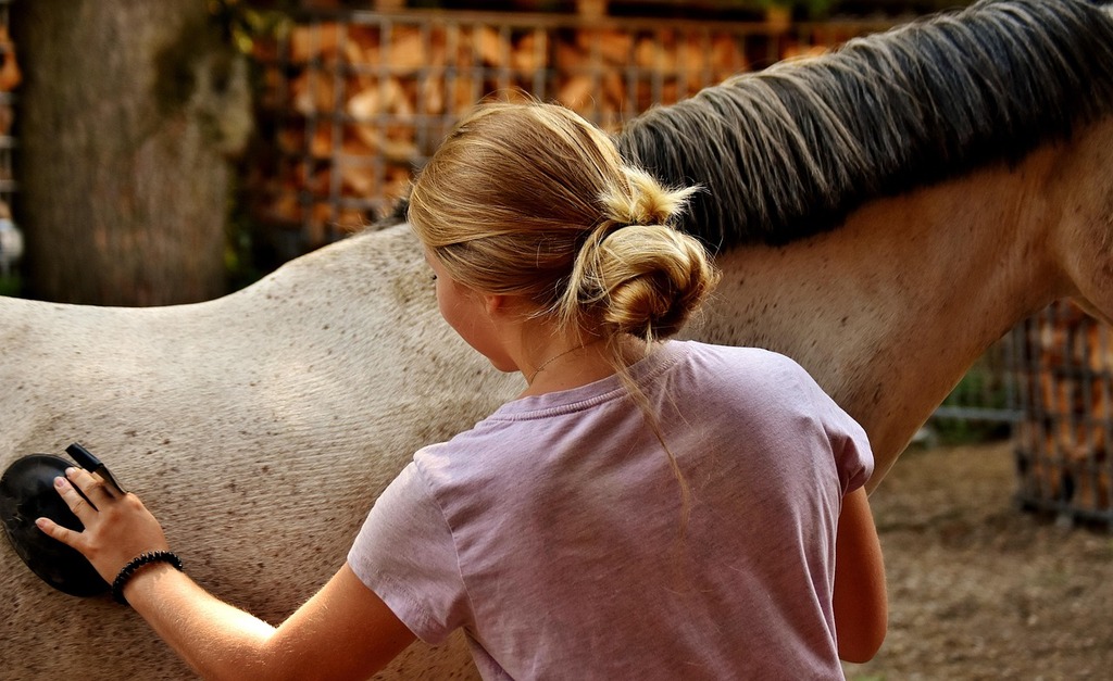 Horse Grooming - How to Get a Horse to Like You