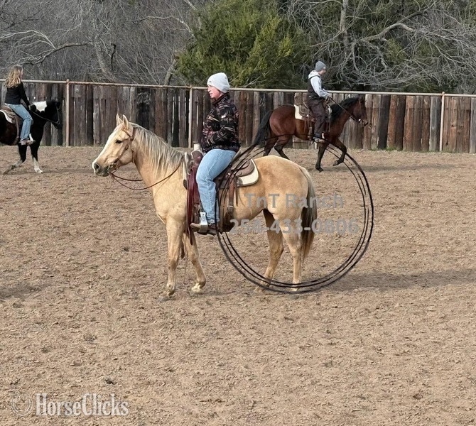 "Nana" Palomino Mare Quarter Horse - Quarter Horse in Texas