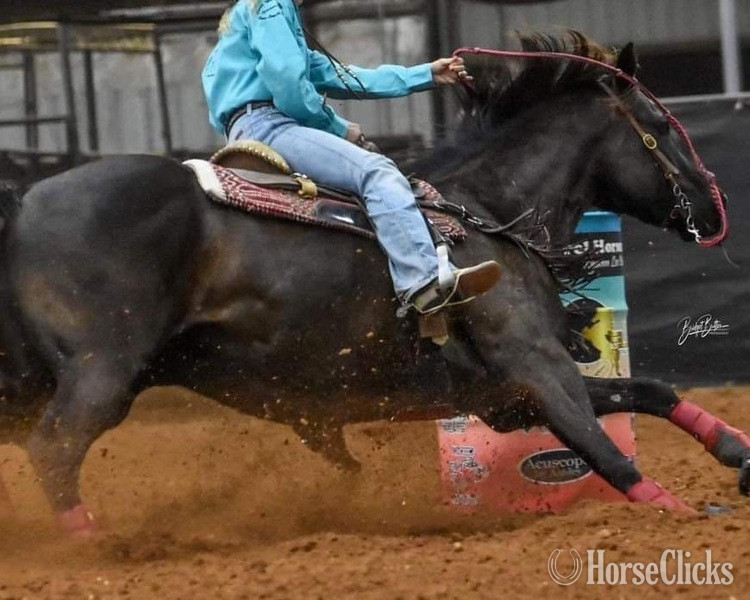 Texas "Nova" Black Mare Paint