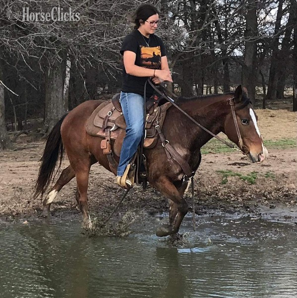 Texas "Lucille" Bay Mare POA
