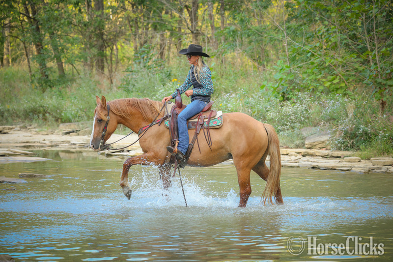 "CARAMELLO" Red Dun Mare Quarter Horse