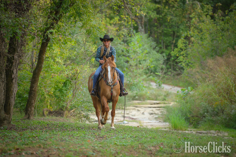 "CARAMELLO" Red Dun Mare Quarter Horse - Quarter Horse in Kentucky