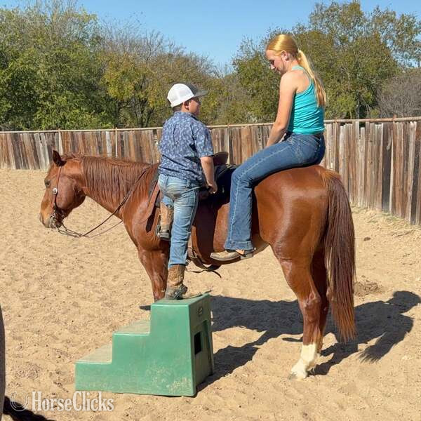 "Spark" Sorrel Gelding Quarter Horse - Quarter Horse in Texas