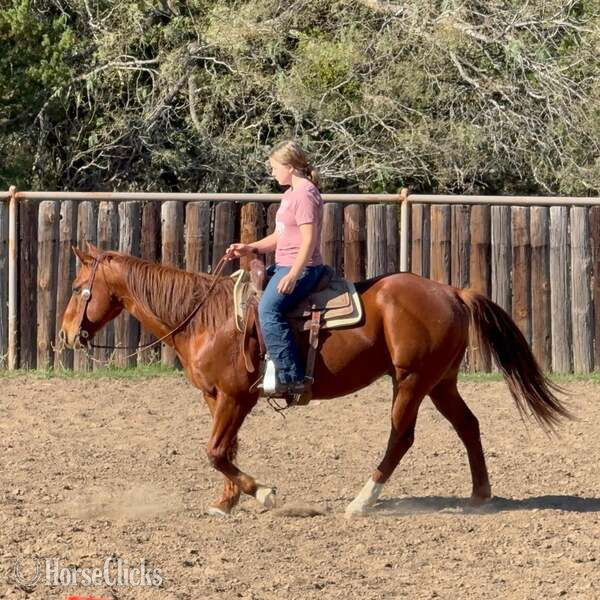 Quarter Horse - "Spark" Sorrel Gelding Quarter Horse