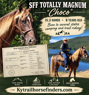 "SFF Totally Magnum Choco" Chocolate Gelding Rocky Mountain