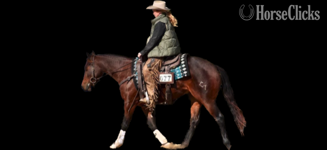 "CSEVN SHINING DUALLY" Bay Mare Quarter Horse