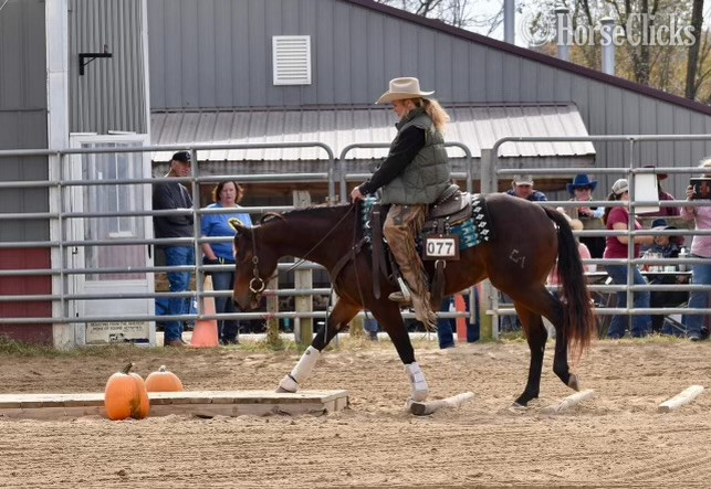 "CSEVN SHINING DUALLY" Bay Mare Quarter Horse - Quarter Horse in California