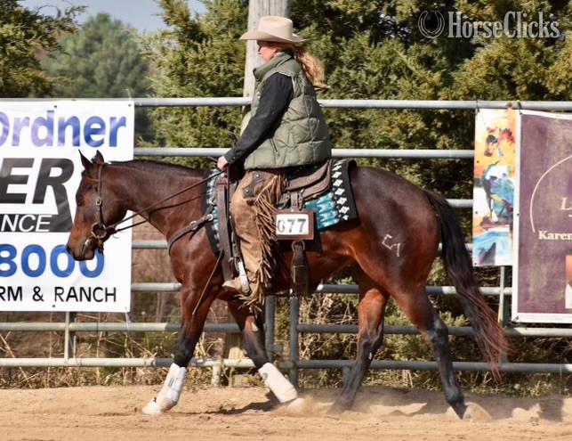 "CSEVN SHINING DUALLY" Bay Mare Quarter Horse - Quarter Horse
