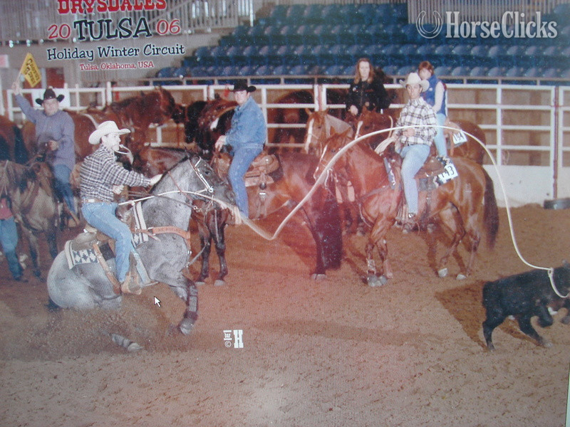 Iowa "SUGS HOLLY DUN IT" Bay Broodmare Quarter Horse