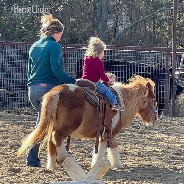 "Peggy Sue" Sorrel Mare Pony - Pony in Texas