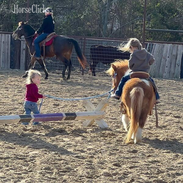 Pony - "Peggy Sue" Sorrel Mare Pony in Texas