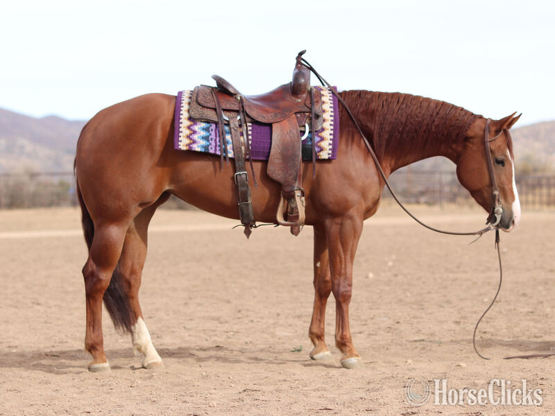 "Victoria" Sorrel Mare Quarter Horse in California
