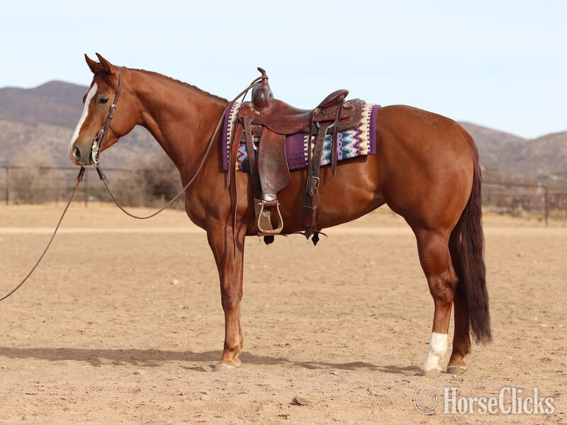 "Victoria" Sorrel Mare Quarter Horse